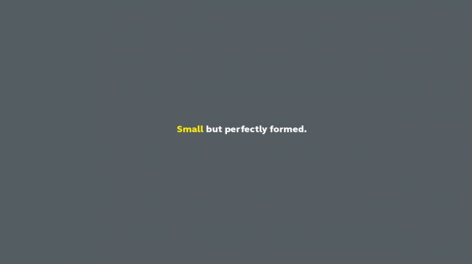 Small Is Beautiful